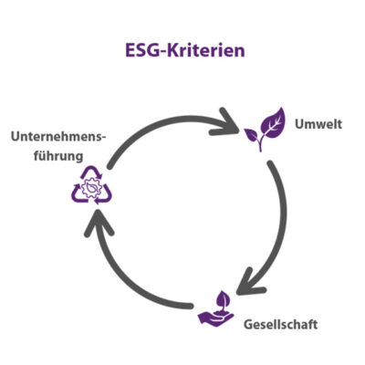 ESG-Kritierien